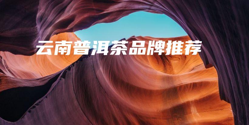 云南普洱茶品牌推荐插图