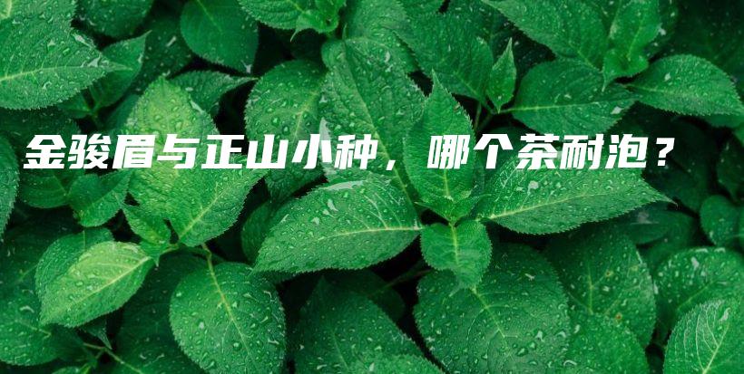 金骏眉与正山小种，哪个茶耐泡？插图