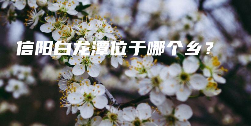 信阳白龙潭位于哪个乡?插图 信阳白龙潭位于哪个乡?插图