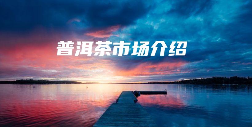 普洱茶市场介绍插图