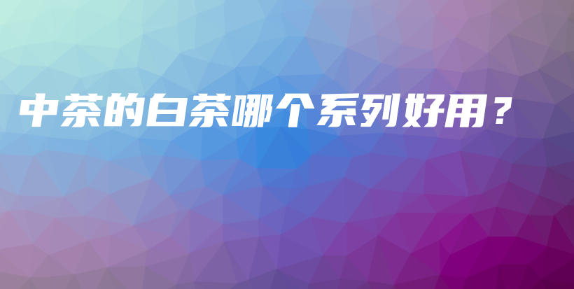 中茶的白茶哪个系列好用？插图