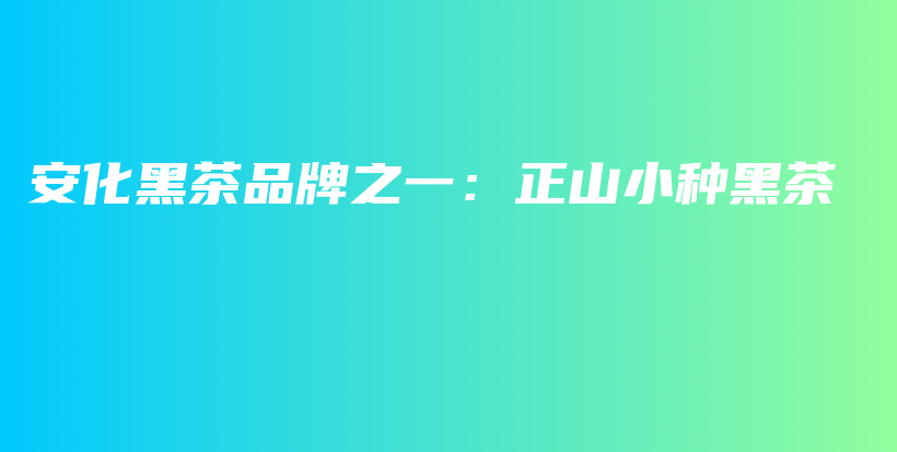 安化黑茶品牌之一：正山小种黑茶插图