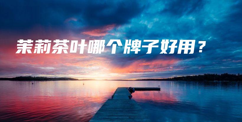 茉莉茶叶哪个牌子好用?插图 茉莉茶叶哪个牌子好用?插图