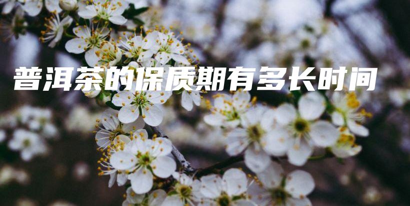 普洱茶的保质期有多长时间插图 普洱茶的保质期有多长时间插图