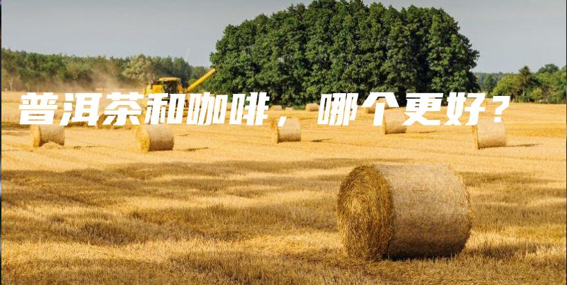 普洱茶和咖啡，哪个更好？插图