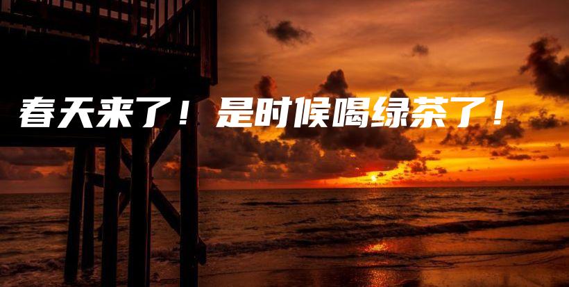 春天来了！是时候喝绿茶了！插图