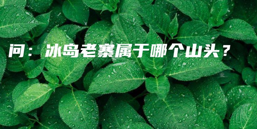 问：冰岛老寨属于哪个山头？插图