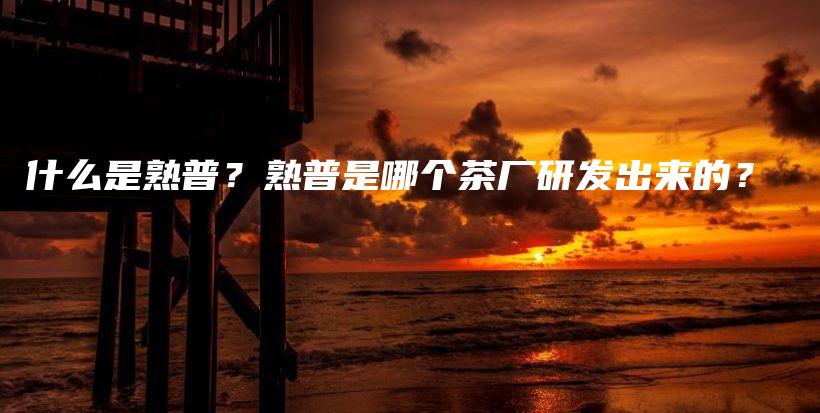 什么是熟普？熟普是哪个茶厂研发出来的？插图