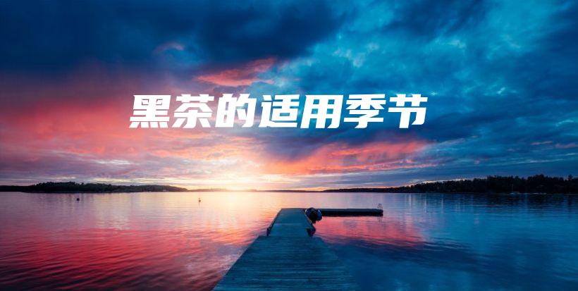 黑茶的适用季节插图