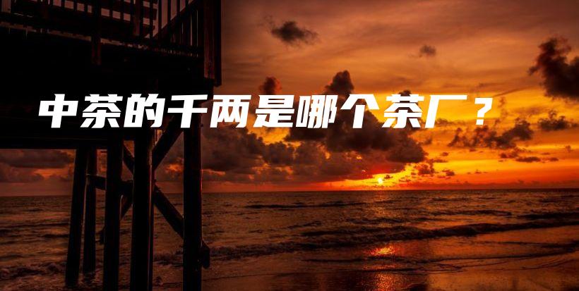 中茶的千两是哪个茶厂？插图