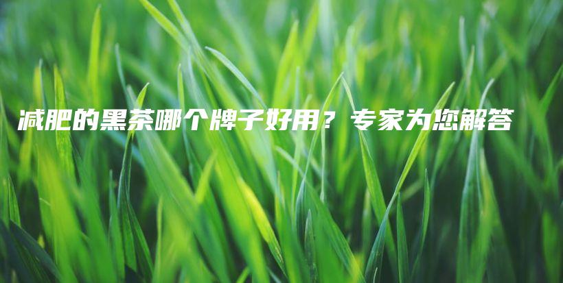 减肥的黑茶哪个牌子好用？专家为您解答插图