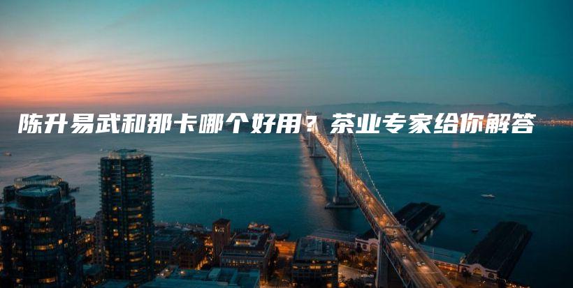 陈升易武和那卡哪个好用？茶业专家给你解答插图