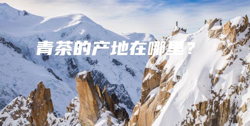 青茶的产地在哪里？插图