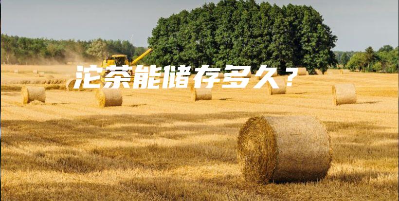 沱茶能储存多久？插图