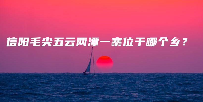 信阳毛尖五云两潭一寨位于哪个乡？插图