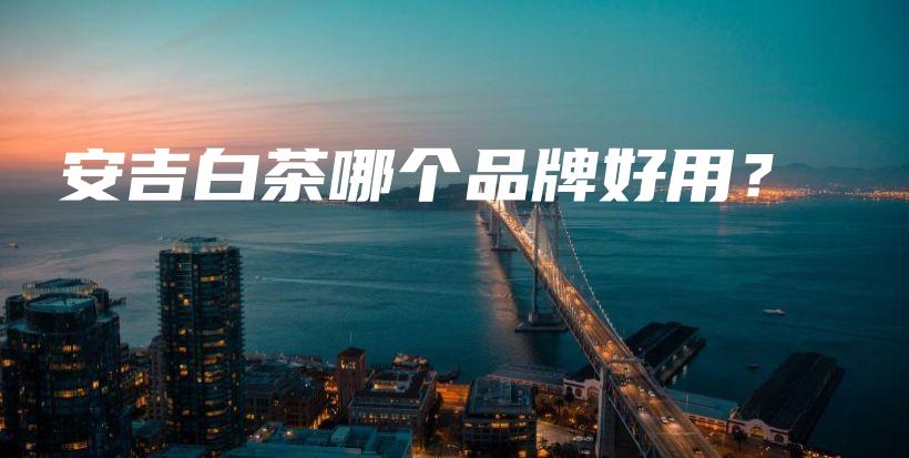 安吉白茶哪个品牌好用？插图