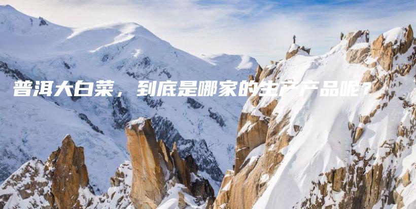 普洱大白菜，到底是哪家的生产产品呢？插图