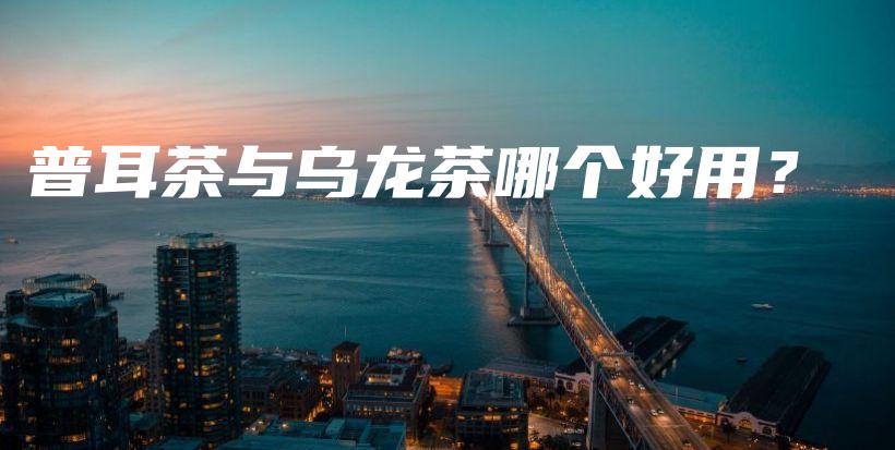 普耳茶与乌龙茶哪个好用？插图