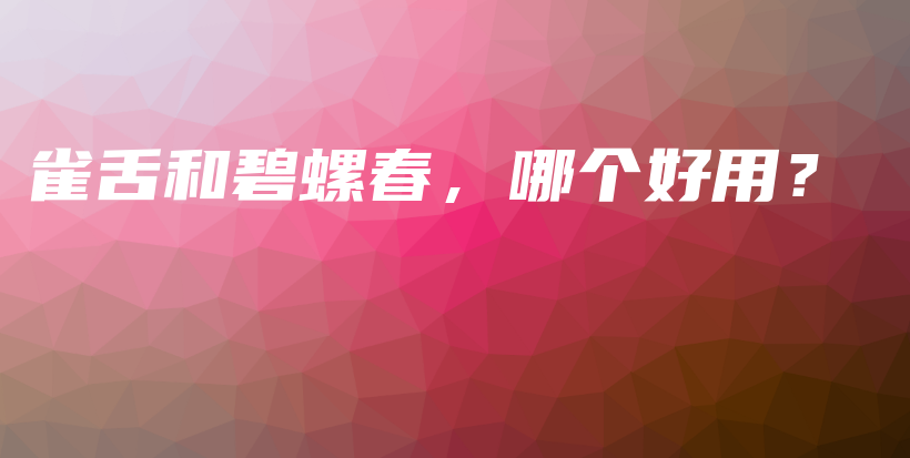 雀舌和碧螺春,哪个好用?插图 雀舌和碧螺春,哪个好用?插图