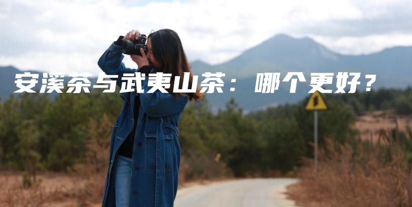 安溪茶与武夷山茶:哪个更好?插图 安溪茶与武夷山茶:哪个更好?插图