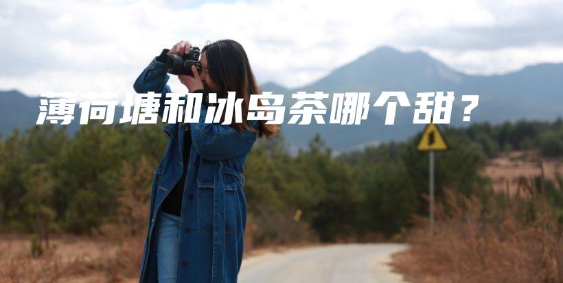 薄荷塘和冰岛茶哪个甜？插图