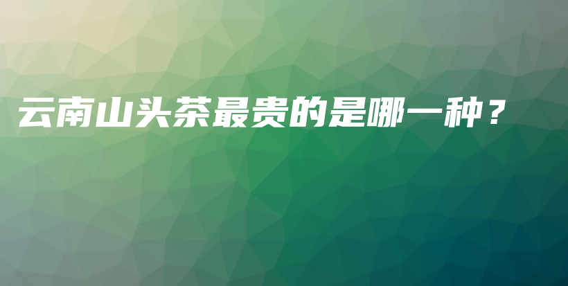 云南山头茶最贵的是哪一种？插图