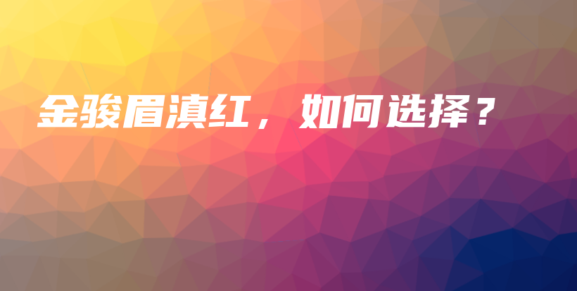 金骏眉滇红，如何选择？插图