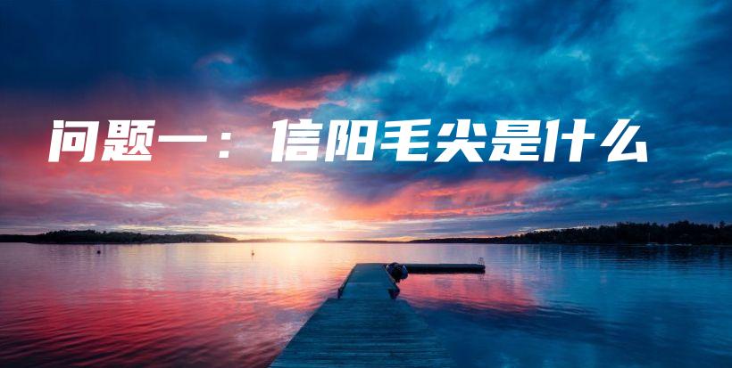 问题一：信阳毛尖是什么插图
