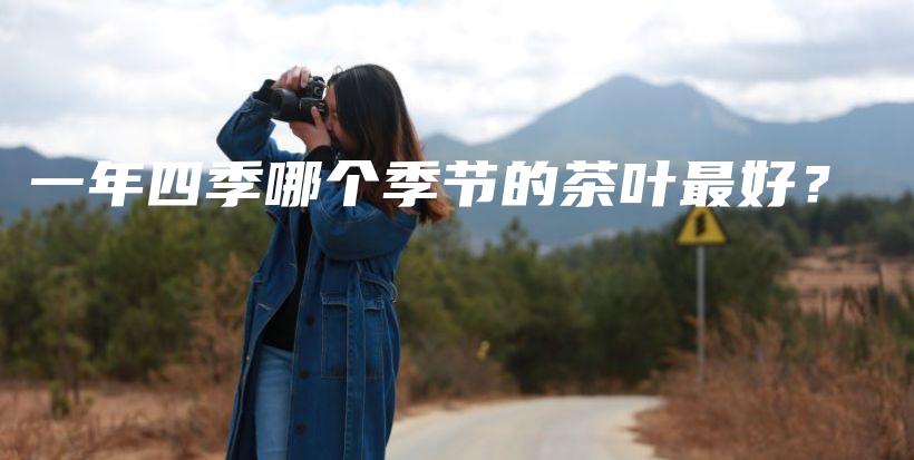 一年四季哪个季节的茶叶最好？插图