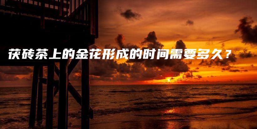 茯砖茶上的金花形成的时间需要多久？插图