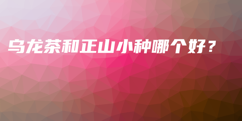 乌龙茶和正山小种哪个好？插图