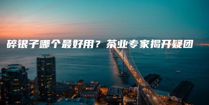 碎银子哪个最好用？茶业专家揭开疑团插图