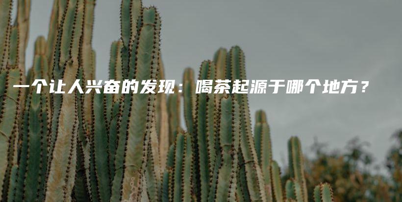 一个让人兴奋的发现:喝茶起源于哪个地方?插图 一个让人兴奋的发现:喝茶起源于哪个地方?插图