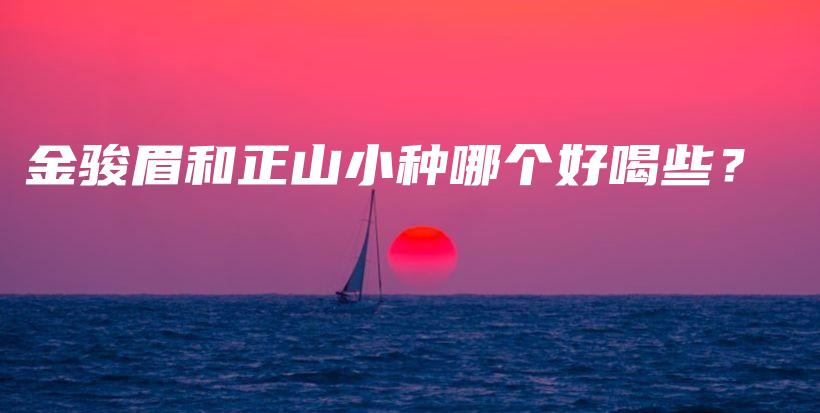 金骏眉和正山小种哪个好喝些？插图