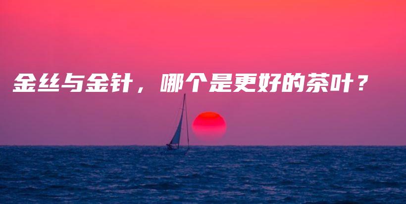 金丝与金针，哪个是更好的茶叶？插图