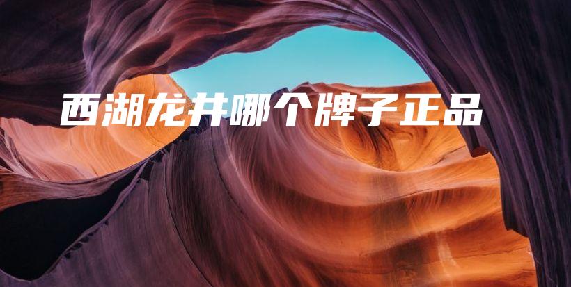 西湖龙井哪个牌子正品插图