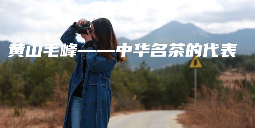 黄山毛峰——中华名茶的代表插图