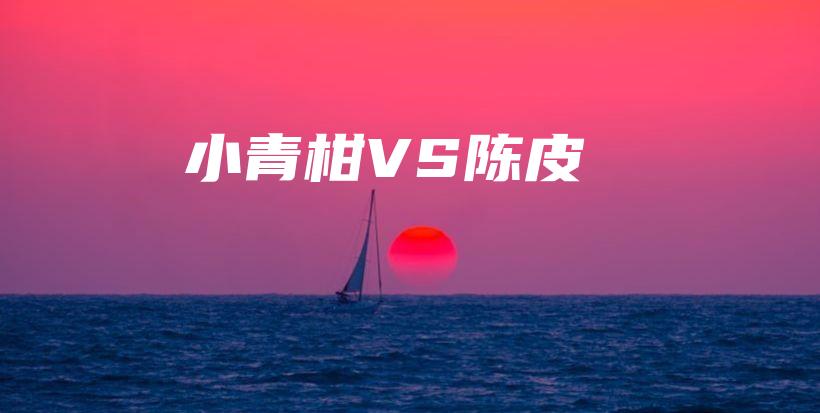 小青柑VS陈皮插图