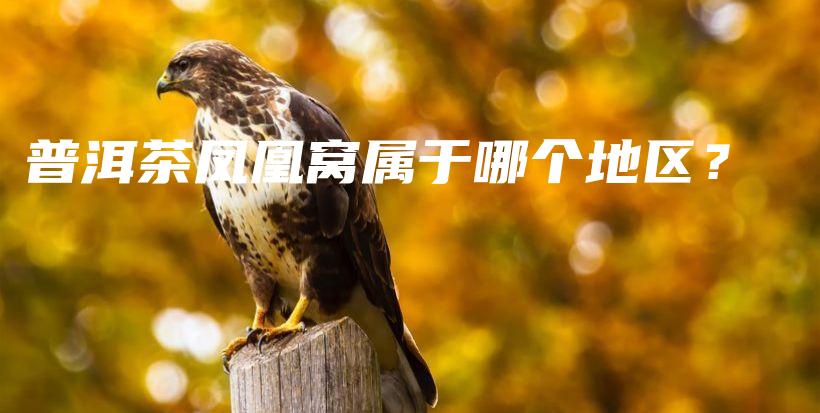 普洱茶凤凰窝属于哪个地区？插图