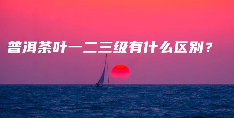 普洱茶叶一二三级有什么区别？插图