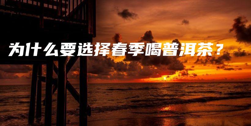 为什么要选择春季喝普洱茶？插图