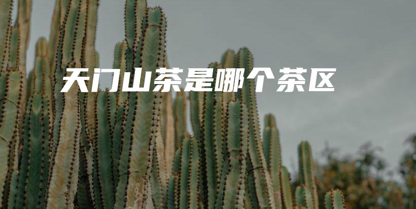 天门山茶是哪个茶区插图