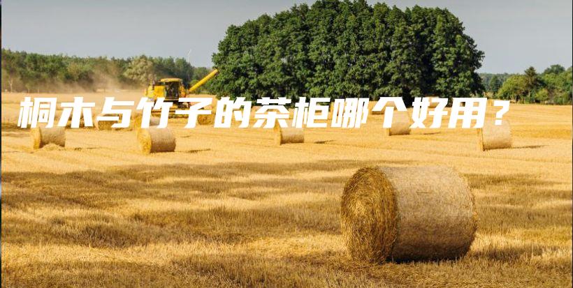 桐木与竹子的茶柜哪个好用？插图