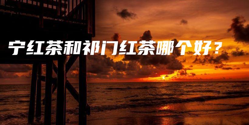 宁红茶和祁门红茶哪个好？插图