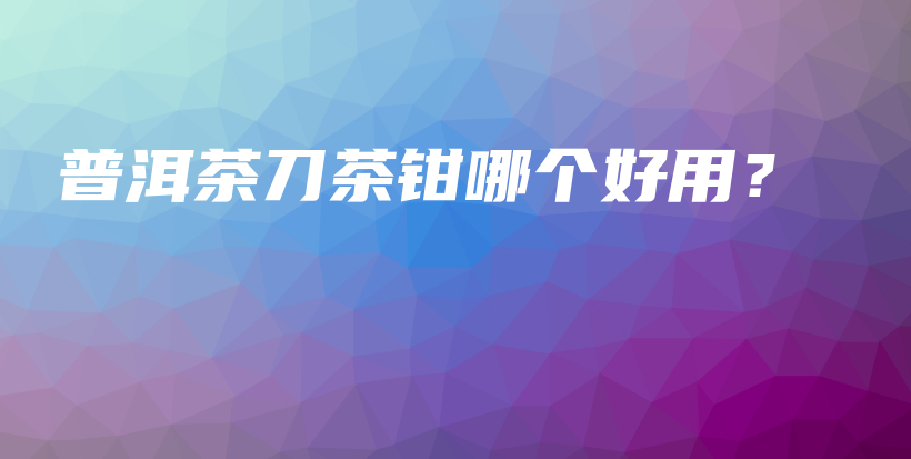 普洱茶刀茶钳哪个好用？插图