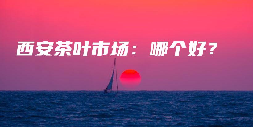 西安茶叶市场：哪个好？插图