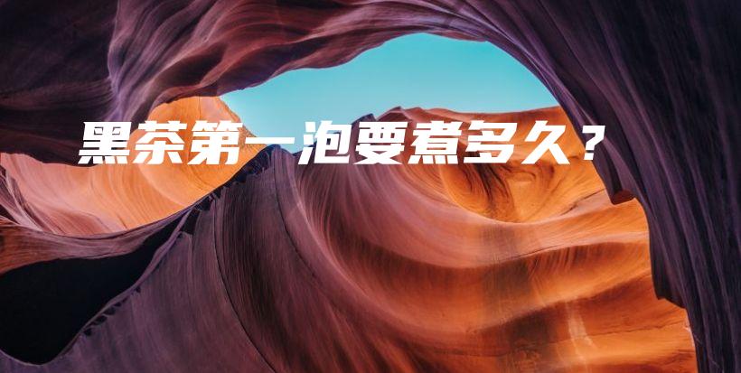 黑茶第一泡要煮多久?插图 黑茶第一泡要煮多久?插图