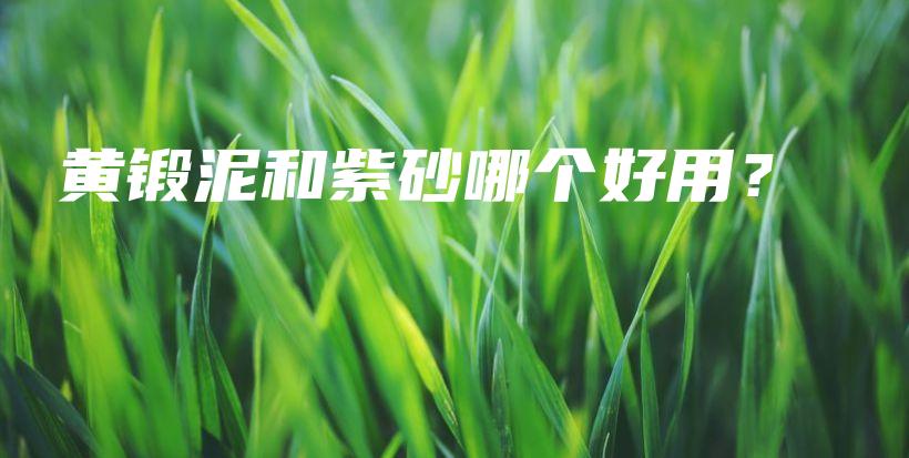 黄锻泥和紫砂哪个好用？插图