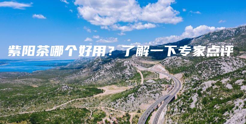 紫阳茶哪个好用？了解一下专家点评插图
