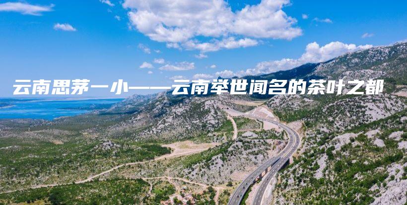 云南思茅一小——云南举世闻名的茶叶之都插图
